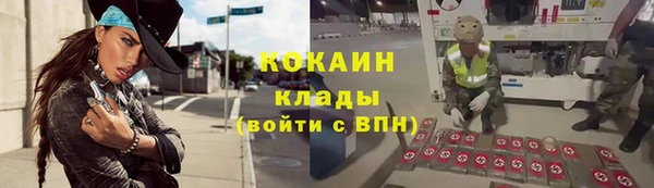 spice Алексин