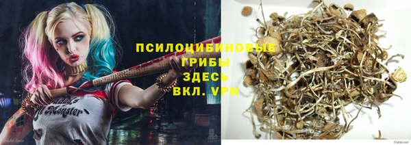 spice Алексин