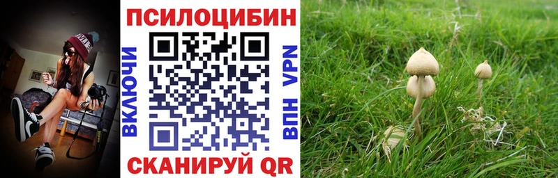 Галлюциногенные грибы Psilocybine cubensis  хочу наркоту  Холм 
